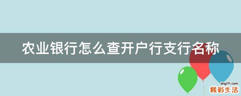 农业银行怎么查开户行支行名称