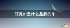 领克01是什么品牌的车