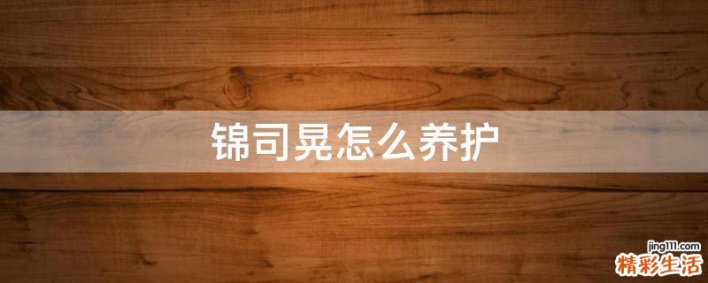 锦司晃怎么养护