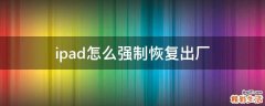 ipad怎么强制恢复出厂