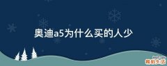 奥迪a5为什么买的人少