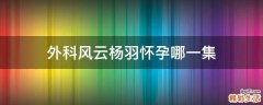 外科风云杨羽怀孕哪一集