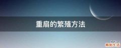 重扇的繁殖方法
