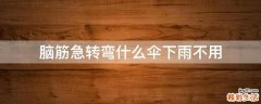 脑筋急转弯什么伞下雨不用