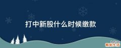 打中新股什么时候缴款