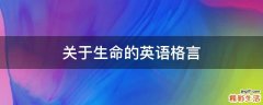 关于生命的英语格言