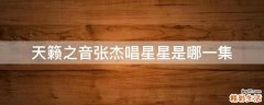 天籁之音张杰唱星星是哪一集
