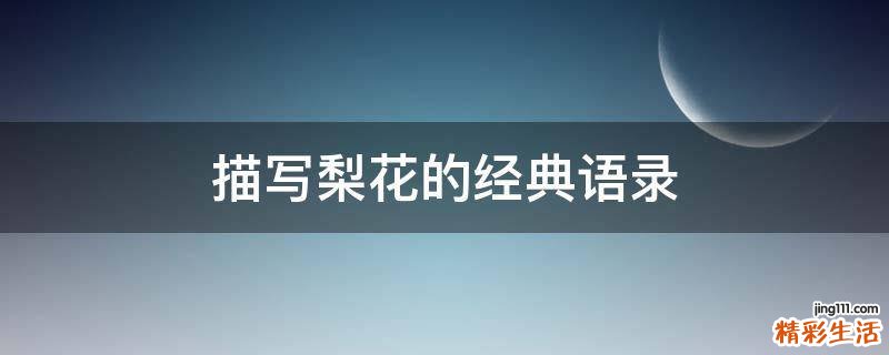 描写梨花的经典语录