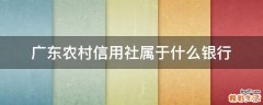 广东农村信用社属于什么银行