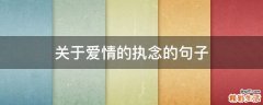 关于爱情的执念的句子