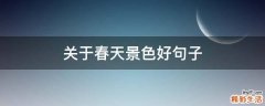 关于春天景色好句子