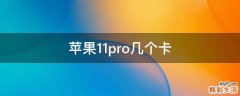 苹果11pro几个卡