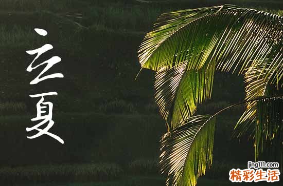 2023年夏天的第一天是几月几日