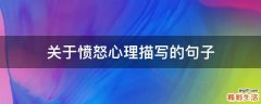 关于愤怒心理描写的句子