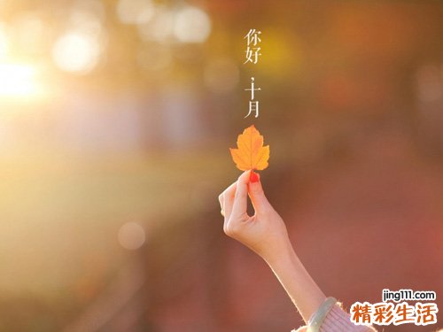白术和中汤