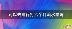 可以去建行打六个月流水票吗