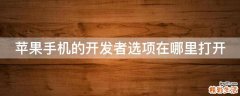 苹果手机的开发者选项在哪里打开