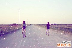鬼箭锦鸡儿