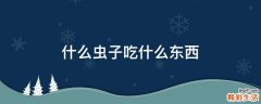 什么虫子吃什么东西