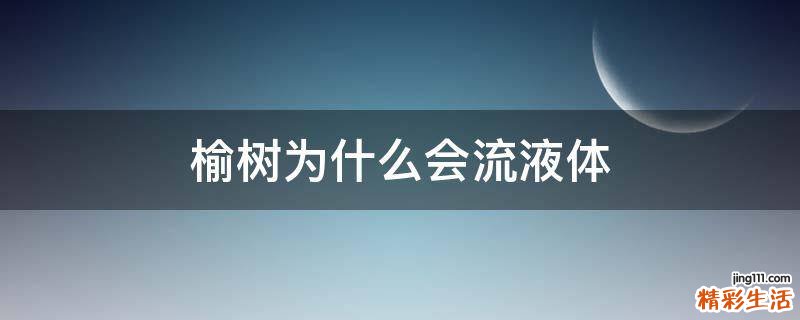 榆树为什么会流液体