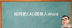 如何把CAD图导入Word
