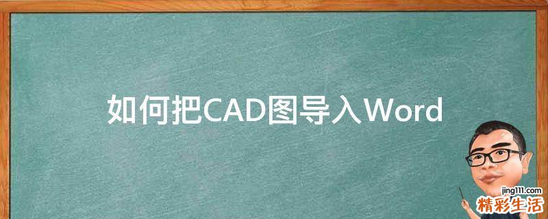 如何把CAD图导入Word