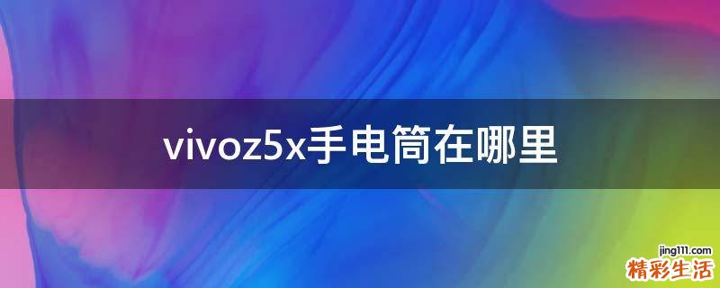 vivoz5x手电筒在哪里