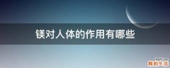 镁对人体的作用有哪些