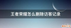 王者荣耀怎么删除访客记录