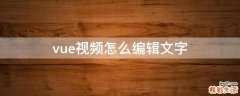 vue视频怎么编辑文字