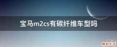 宝马m2cs有碳纤维车型吗