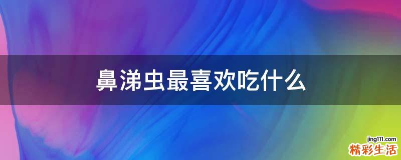 鼻涕虫最喜欢吃什么