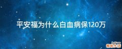 平安福为什么白血病保120万