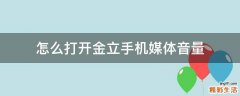 怎么打开金立手机媒体音量