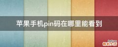 苹果手机pin码在哪里能看到