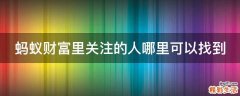 蚂蚁财富里关注的人哪里可以找到