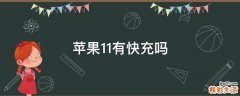 苹果11有快充吗