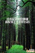 3 老人养生：16种食物是长寿菜
