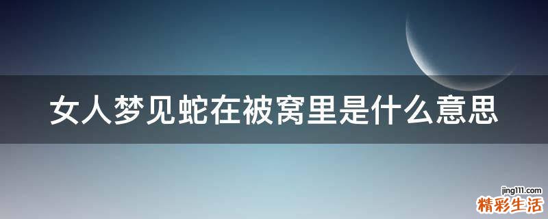 女人梦见蛇在被窝里是什么意思