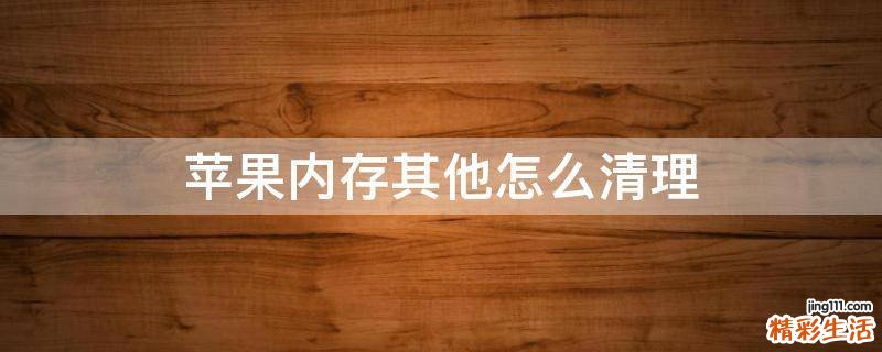苹果内存其他怎么清理