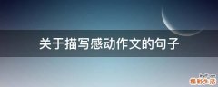 关于描写感动作文的句子