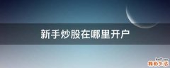 新手炒股在哪里开户