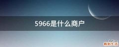5966是什么商户