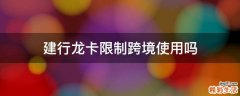 建行龙卡限制跨境使用吗