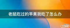 老鼠吃过的苹果我吃了怎么办