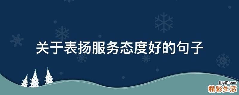 关于表扬服务态度好的句子