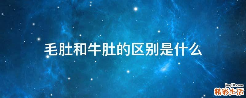 毛肚和牛肚的区别是什么
