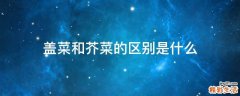 盖菜和芥菜的区别是什么