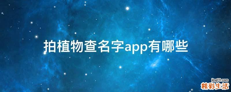 拍植物查名字app有哪些