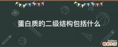 蛋白质的二级结构包括什么